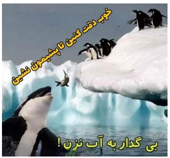 بی گدار به آب نزن +۹ فوت طلایی خرید ناهارخوری خوب بی گدار به آب نزن
