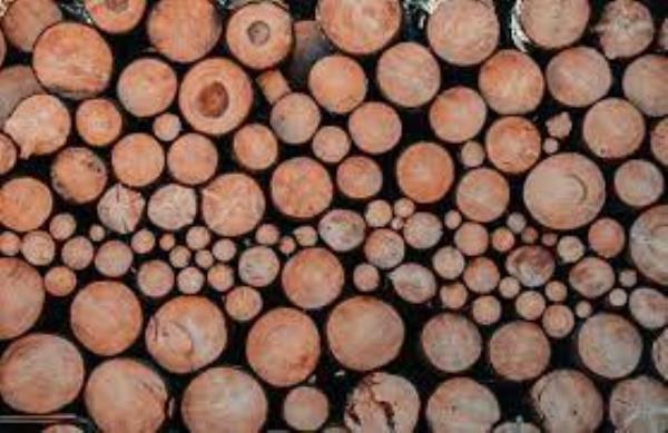 ۱۰ ایده خلاقانه استفاده از میز عسلی تاشو در خانه‌های کوچک